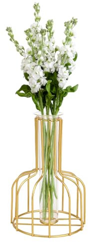 KyeeaDIY Vasen mit Metallrahmen Moderne Schwarze Blumenvase Gold Eisen Vase Vermehrungsstation Pflanzen Reagenzglas Pflanzenhalter für Blumen Hochzeit Party Garten Heimdekoration (Gold)