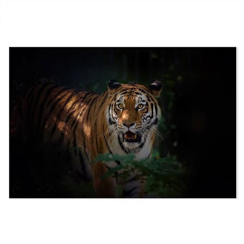 Postereck - 4096 - Tiger im Dunkeln: Unterholz & leuchtende Augen. - Wandposter Fotoposter Bild Wandbild Wanddeko deko - Poster - 3:2-30,0 cm x 20,0 cm