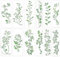 Auriselle 12 pièces vigne rose Pochoirs peinture, réutilisables Pochoir à dessin Set lavable les projets bricolage Scrapbooking bois sol mur carrelage création textile meubles accessoires typographie