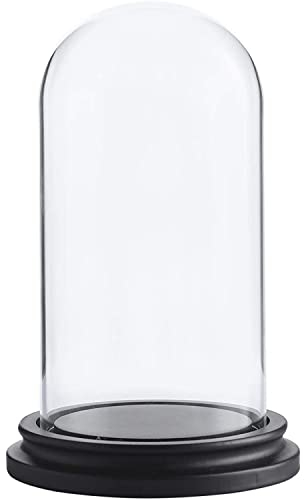 WHOLE HOUSEWARES Dekorative Vitrine mit Kuppel/Tischplatte aus klarem Glas mit Glocke und schwarzer MDF-Basis