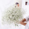 YIWOYI Ramo de flores secas naturales Gypsophila Paniculata preservadas para decoración del hogar y fiestas de boda (blanco, 30-40 cm, 30 g)