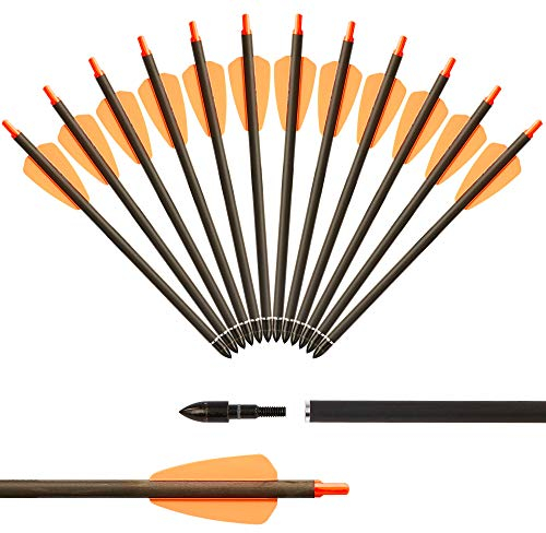 Huntingdoor 12er Carbon Armbrust Bolzen Pfeile 7,5 Bogenschießen Armbrustbolzen für Armbrust Adder Cobra System Jagd Armbrustpfeile mit 2 Flügelschraubel Ersatz Pfeilspitze Spitze