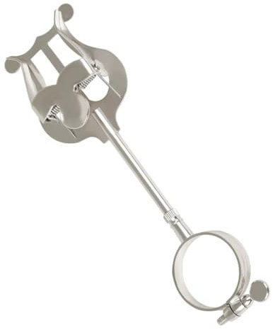 SAFIGLE Eisen Musiknotenclip Klarinetten Notenhalter Notenheftklammer Silber Robust Für Klarinettenüben Und Notenschutz