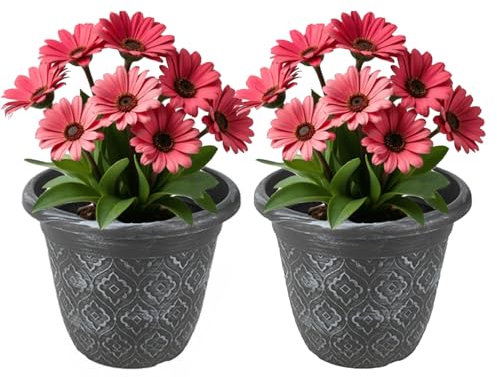 Almineez Set of 2 Rustic Plant Flower Pot Indoor & Outdoor Plastic Plant Pots With Drainage Holes Lightweight Easy To Move Plant Pots Garden Decoration Herb Orchid Planting Pot (Black With Silver)