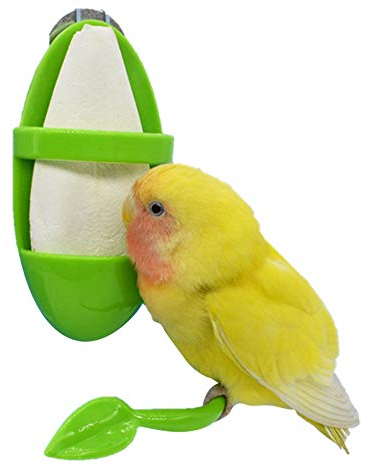 Nrkin Vogel - Supporto per uova e uccelli, in plastica
