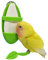 Nrkin Vogel - Supporto per uova e uccelli, in plastica