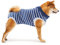 Cobee Dog Recovery Suit, Hund Bauchwundschutz Welpen Wunden nach der Operation für Rüden/Hündinnen, Haustier chirurgischer Kuschelanzug nach der Operation für kleine mittelgroße Hunde (M-Größe)