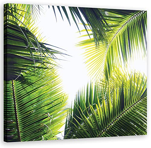 Feeby Vlies Leinwandbild Natur Baum Dschungel 50x50 cm Wanddeko Design Kunstdruck Zimmerdeko Bilderwand Palmblätter Exoten Tropen Grün