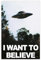 biegzc Amerikanisches Leinwandposter I Want To Believe, Schlafzimmerdekoration, Landschaft, Büro, Raumdekoration, Geschenk, 60 x 90 cm