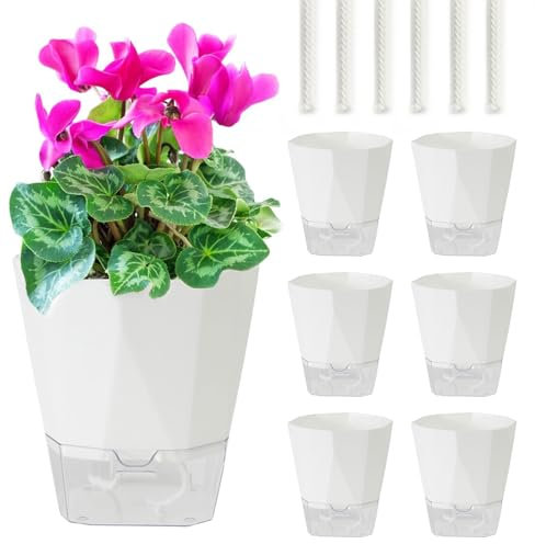 Set di 6 fioriere autoinnaffianti, fioriera da 12,5 cm con sistema di irrigazione, fioriera con recipiente, ideale per giardini interni e da balcone, fioriera per erbe aromatiche con autoinnaffiatura