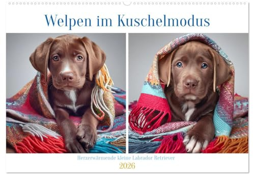 Welpen im Kuschelmodus - Herzerwärmende kleine Labrador Retriever (Wandkalender 2026 DIN A2 quer), CALVENDO Monatskalender: Welpen voller Wärme und Geborgenheit (CALVENDO Tiere)