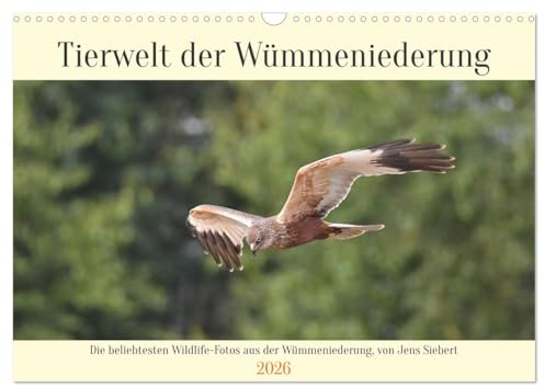 Tierwelt der Wümmeniederung (Wandkalender 2026 DIN A3 quer), CALVENDO Monatskalender: Die beliebtesten Wildlife-Fotos aus der Wümmeniederung, von Jens Siebert (CALVENDO Tiere)