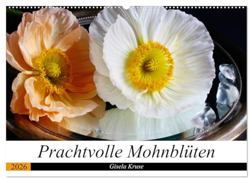 Prachtvolle Mohnblüten (Wandkalender 2026 DIN A2 quer), CALVENDO Monatskalender: Islandmohn faszinierend in Szene gesetzt (CALVENDO Natur)