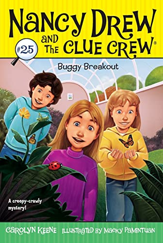 Buggy Breakout: Volume 25 (Nancy Drew and the Clue Crew, Band 25)
