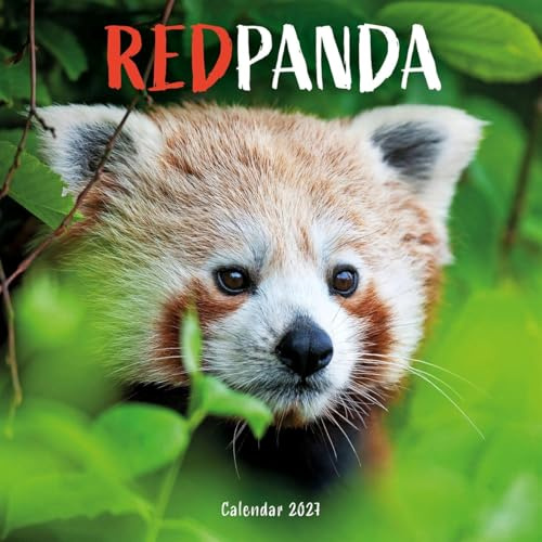 Red Panda – Rote Pandas – Rote Pandabären 2027 – Wand-Kalender: Original Carousel-Kalender [Mehrsprachig] [Kalender] (Wall-Kalender)