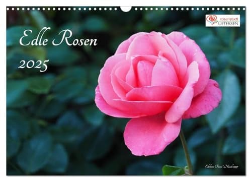 Edle Rosen (Wandkalender 2025 DIN A3 quer), CALVENDO Monatskalender