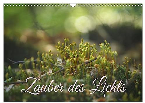 Zauber des Lichts (Wandkalender 2026 DIN A3 quer), CALVENDO Monatskalender: Die Natur und ihr zauberhaftes Licht (CALVENDO Natur)