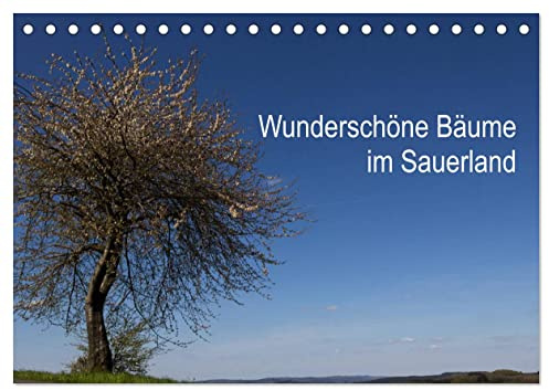 Wunderschöne Bäume im Sauerland (Tischkalender 2026 DIN A5 quer), CALVENDO Monatskalender: Beeindruckende Bäume in wundervoller Landschaft. (CALVENDO Natur)