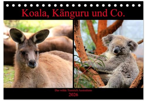 Koala, Känguru und Co. – Das wilde Tierreich Australiens (Tischkalender 2026 DIN A5 quer), CALVENDO Monatskalender: Wunderschöne, bunte Impressionen der Wildtiere Australiens. (CALVENDO Tiere)
