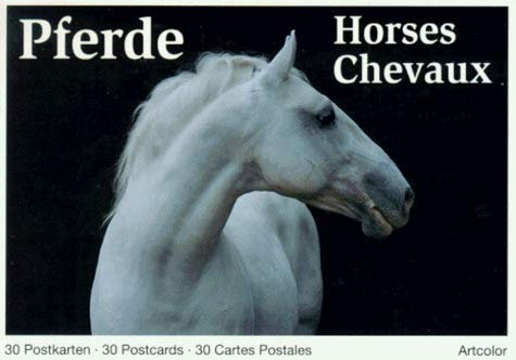 Pferde. 30 farbige Postkarten.