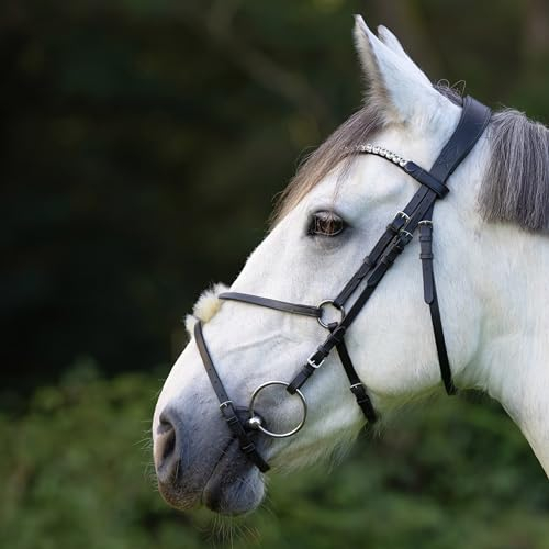 Heinick Trense mexikanisch Schwarz Schnallen ~ Glow-Silver ~ Warmblut