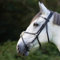 Heinick Trense mexikanisch Schwarz Schnallen ~ Glow-Silver ~ Warmblut