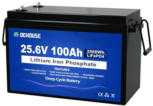 DCHOUSE 24V 100Ah LiFePO4 Lithiumbatterie, wiederaufladbar mit über 4000-fachen Tiefenzyklen und BMS-Schutz für Solaranlage, Wohnmobil, Boot, Haushalt, Solarpanel-Set und Camping