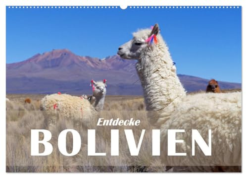 Entdecke Bolivien (Wandkalender 2026 DIN A2 quer), CALVENDO Monatskalender: Bolivien - Zwischen Anden und Amazonas sind kaum mehr Kontraste möglich. (CALVENDO Orte)