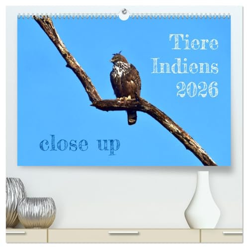 Tiere Indiens close up (hochwertiger Premium Wandkalender 2026 DIN A2 quer), Kunstdruck in Hochglanz: Auge in Auge mit Wildtieren Indiens (CALVENDO Tiere)