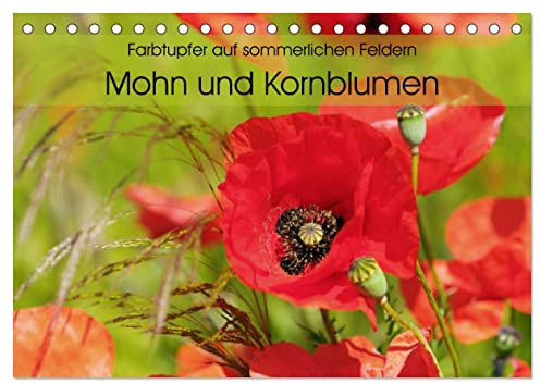 Farbtupfer auf sommerlichen Feldern - Mohn und Kornblumen (Tischkalender 2026 DIN A5 quer), CALVENDO Monatskalender: Im Sommer verschönern unzählige ... mit intensiven Farbtupfern. (CALVENDO Natur)