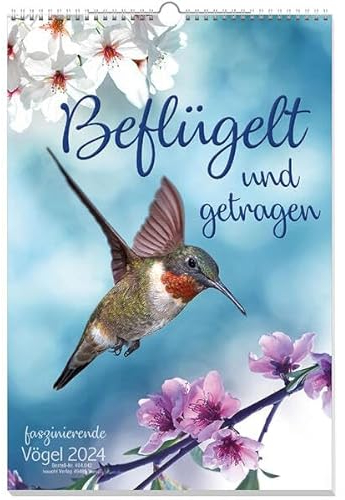 Beflügelt und getragen 2024: Vögel