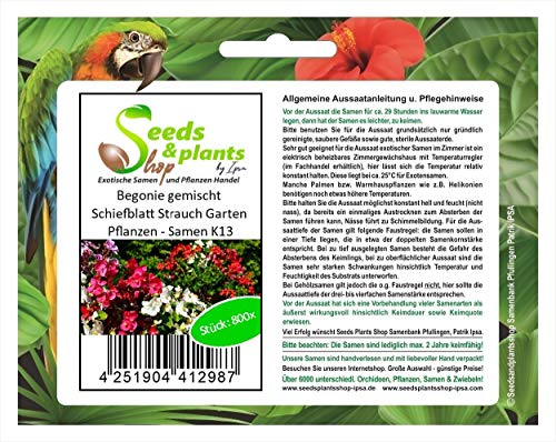 Stk - 800x Begonie gemischt Begonia semperflorens Strauch Garten Pflanzen - Samen K13 - Seeds & Plants Shop by Ipsa