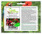 Stk - 800x Begonie gemischt Begonia semperflorens Strauch Garten Pflanzen - Samen K13 - Seeds & Plants Shop by Ipsa