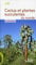 Cactus et plantes succulentes du monde