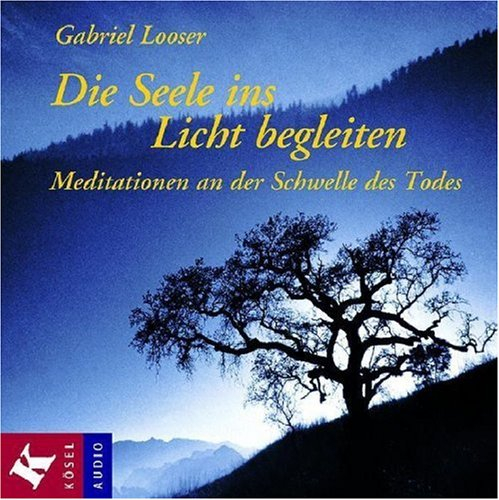 Die Seele ins Licht begleiten: Meditationen an der Schwelle des Todes