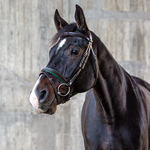 Sunride englisch kombinierte Trense Hawaii mit Zügel, aus weichem Echtleder, farbig unterlegt, verstellbar und anatomisch (Pony, braun/grün)