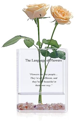 Alpharan Buchvase für Blumen, Heimdekoration, künstlerischer und kultureller Geschmack, dekorative Acrylvase für Zuhause und Büro, kreative Geschenke für Buchliebhaber. (Transparent)