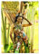 Equatorial Guinea Bodypainting Festival Origins (Wandkalender 2025 DIN A3 hoch), CALVENDO Monatskalender