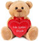 BRUBAKER Teddy Plüschbär mit Herz Rot - Ich Liebe Dich - 35 cm - Teddybär Plüschteddy Kuscheltier Schmusetier - Braun Hellbraun