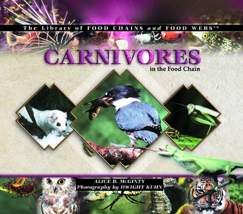 Carnivores in the Food Chain (The Library of Food Chains and Food Webs)