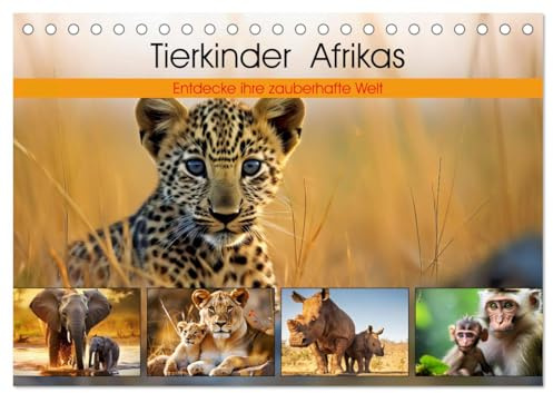 Tierkinder Afrikas - Entdecke ihre zauberhafte Welt (Tischkalender 2026 DIN A5 quer), CALVENDO Monatskalender: Das Abenteuer des Lebens beginnt hier (CALVENDO Tiere)