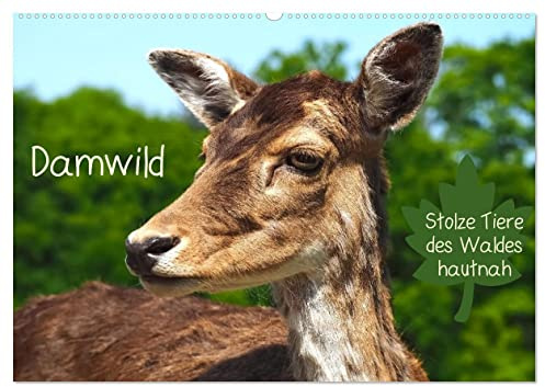 Damwild - stolze Tiere des Waldes hautnah (Wandkalender 2026 DIN A2 quer), CALVENDO Monatskalender: Damwild in allen Lebenslagen beobachten Sie hier (CALVENDO Tiere)