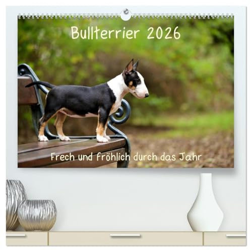 Bullterrier 2026 Frech und fröhlich durch das Jahr (hochwertiger Premium Wandkalender 2026 DIN A2 quer), Kunstdruck in Hochglanz: Ein toller Kalender ... der Hunderasse Bullterrier. (CALVENDO Tiere)