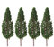 WINOMO Plastic Model Pine Trees 10pcs Model Trees Scenery Landscape Park Street Diorama Scenery Layout Miniature Landscape Scenery (13cm)