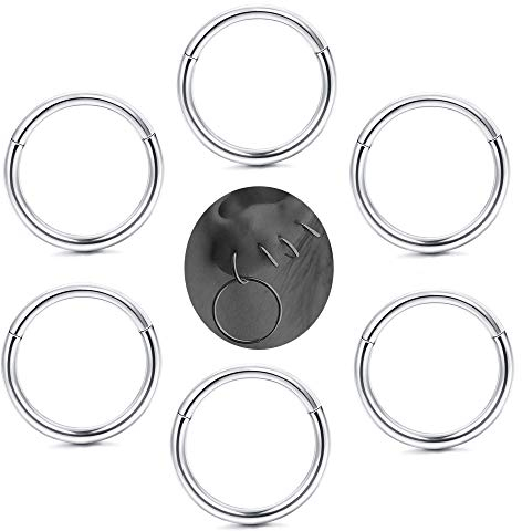 Milacolato 6-8 Pcs 18G Nasenpiercing Ring Edelstahl Clicker Segment Nase Piercing Ohrringe Damen Für Männer Frauen Septum Ohr Knorpel Daith Conch Tragus Sleeper Nasenring Set 6-12MM