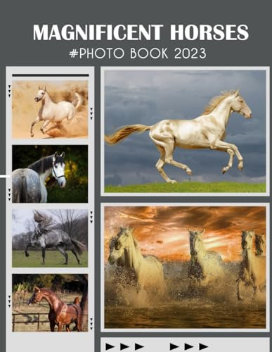 Magnificent Horses Photography Book: An 2024 Animals Photography Book Photo Albums For Kids, Adults With 30+ Quality Picture Inside Christmas Photo Book For All Ages To Relieve Stress And Get Creative