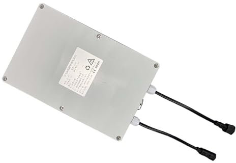 TGHY Batterie Grande capacité 12V 10AH 20AH 40AH 60AH 80AH Batterie Li-ION 12 Volts Batterie au Lithium pour Voiture de Patrouille Touristique à énergie Solaire et éolienne RV,12v 10ah