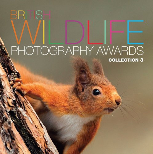 British Wildlife Photography Awards: Collection 3
