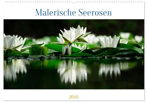 Malerische Seerosen (Wandkalender 2026 DIN A2 quer), CALVENDO Monatskalender: Malerische, schöne Seerosen in freier Natur (CALVENDO Natur)