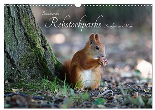 Bewohner des Rebstockparks Frankfurt am Main (Wandkalender 2026 DIN A3 quer), CALVENDO Monatskalender: Große und kleine Tiere im Rebstockpark in Frankfurt am Main (CALVENDO Tiere)